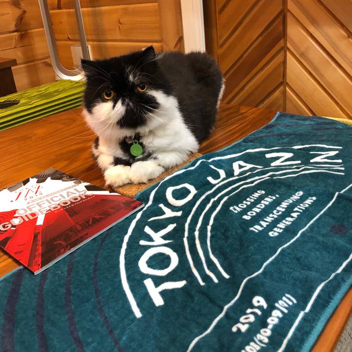 D6294eea a04b 4c1d 8984 5f90b42f62a0 1567261987337