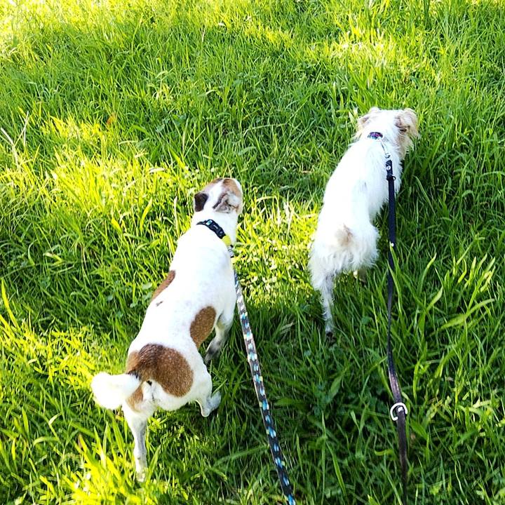 D629636e e867 48ac 91bb c3adfc316561 1568421176631