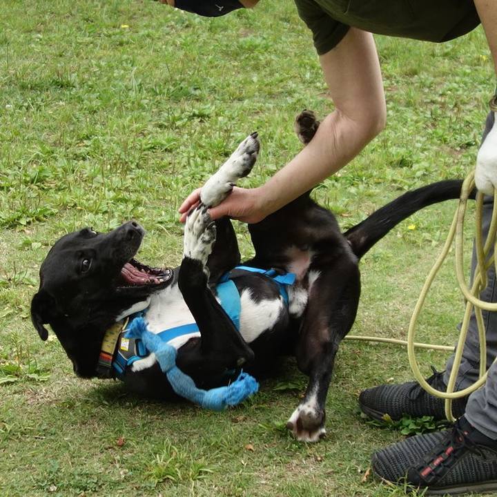 D62992f5 fab6 48a8 a076 f3740acdfb08 1621297753394