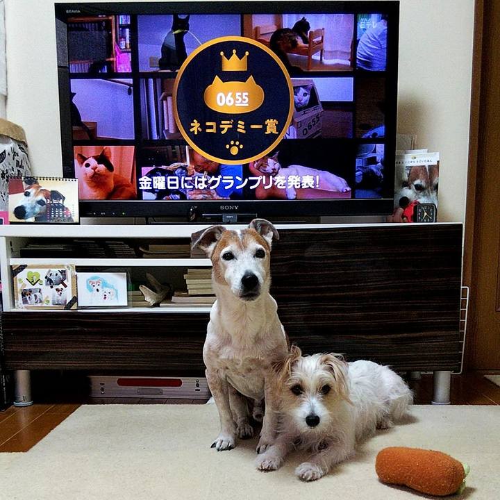 D629c75e fc2a 4beb 9fcf 8865d8f986f1 1584309730472