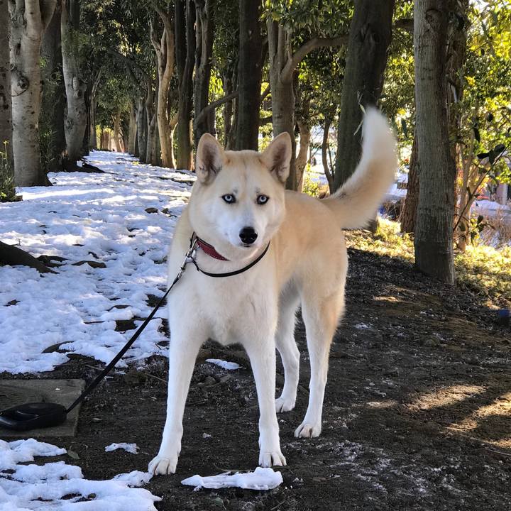 D629f43e 5ade 487d 879b a074dab16a3d 1516840872011