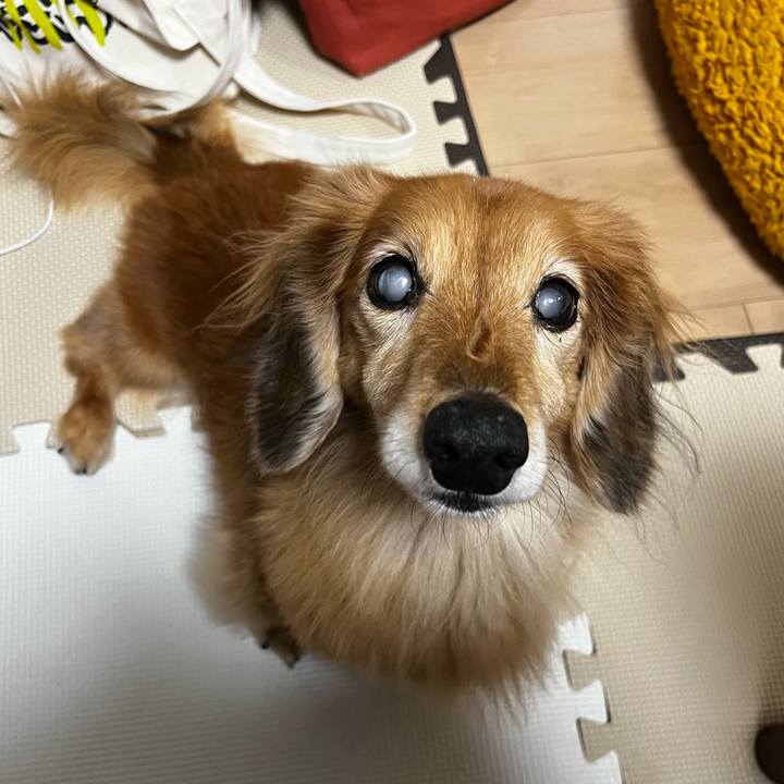 D629fee6 40c1 4a8c 9be2 ffd0b7f42bed 1670938287885