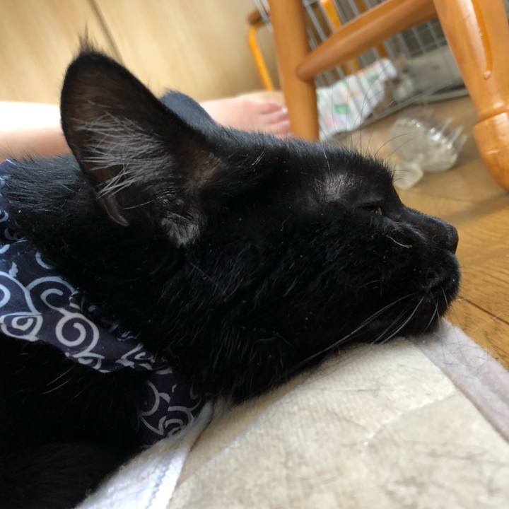 D62a1aff a83a 4480 8c18 ca972a364bed 1558470991746