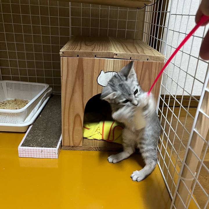 D62a4414 1063 4272 a460 8ca19db64cfc 1697530212084