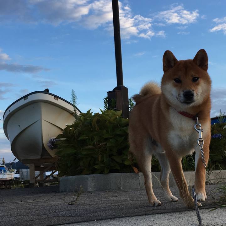 D62a57a7 60f6 4b4d ac12 da8c98109d53 1534462569690