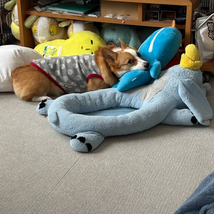 D62a6256 d82b 4e46 a786 92b14c984d9b 1764656682273