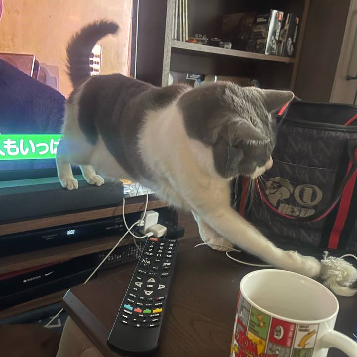 D62a87bc c453 4343 abdc e58b373867b0 1708240548686