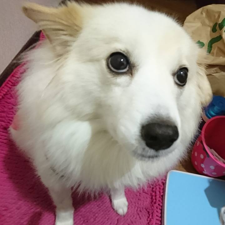 D62acf17 376d 4098 96e7 b1314de4dcc7 1508759639144