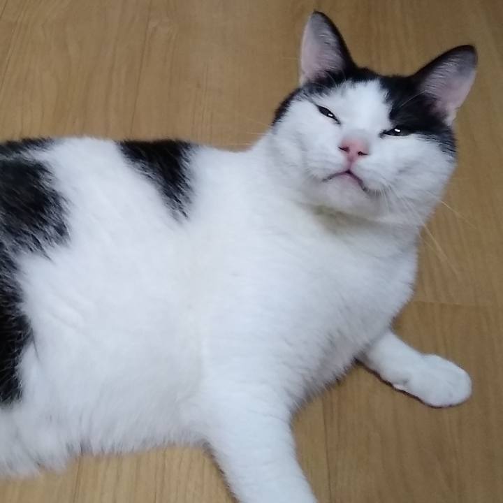 D62aea18 ac8f 458f 8a19 cdf345077699 1557314202546