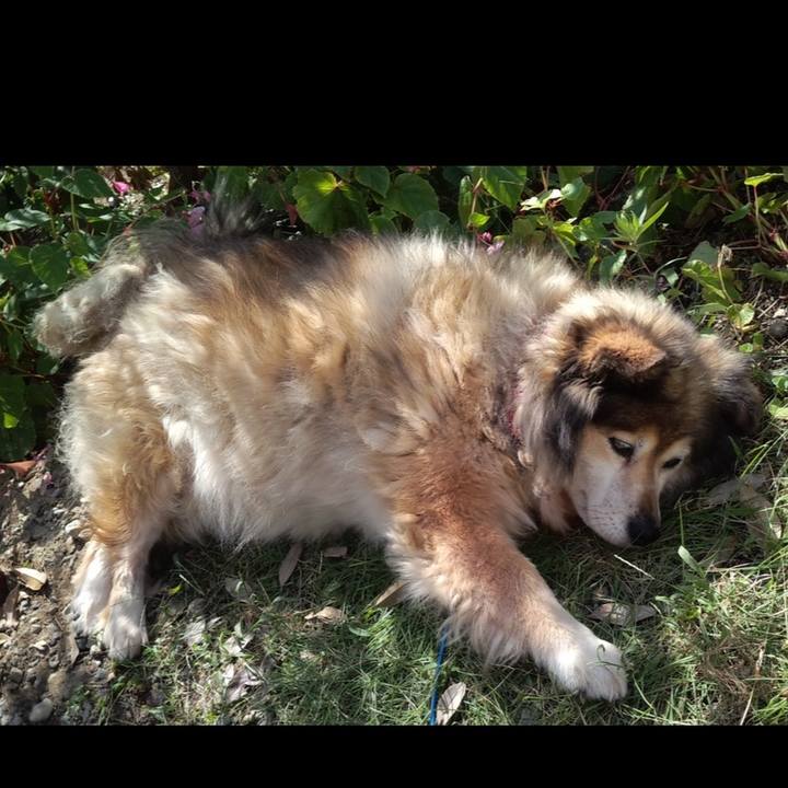 D62af76e 1a22 4b24 8c02 00ce7c0f3052 1601804042566