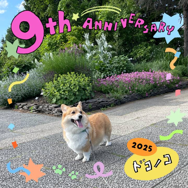 D62b0ce2 2660 48fd 9ce3 2077459ce386 1749473247051