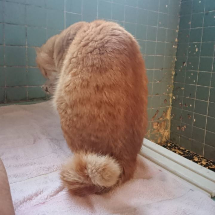 D62b10b5 7278 4a5c b9fe b55ef168e61d 1652521351510