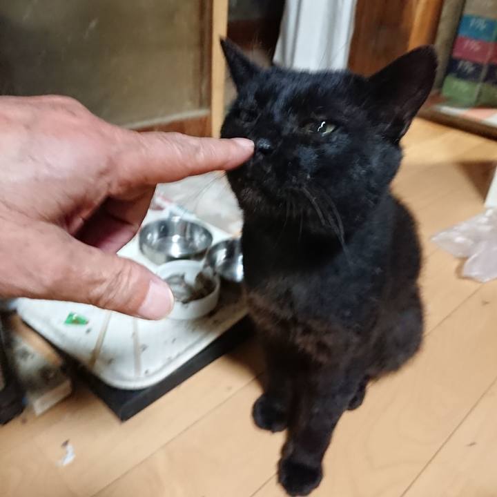 D62b15b3 284a 47f7 988a 677fc63ead63 1626527038418