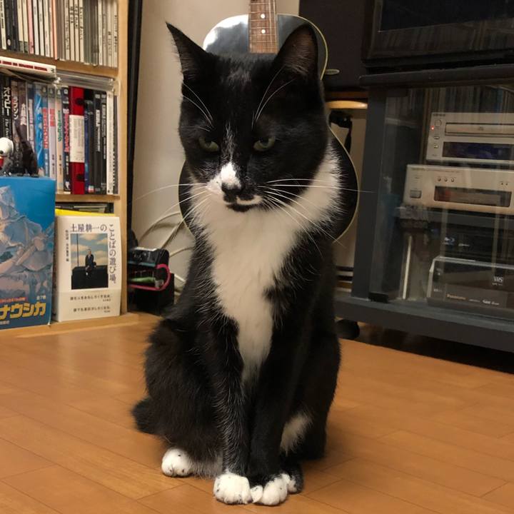 D62b27c6 bd48 4bcc 9882 abba69a6a29a 1571370058216