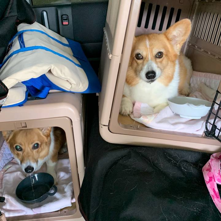 D62b31d6 9a82 4f4a b933 fedcefc2a575 1691736909411