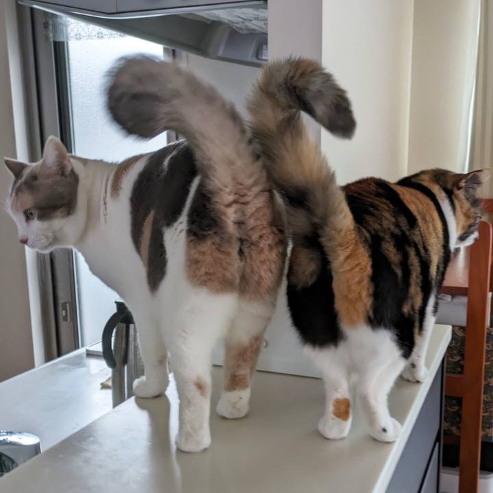 D62b3245 73d2 4838 b920 9e1e7c020061 1704426735641