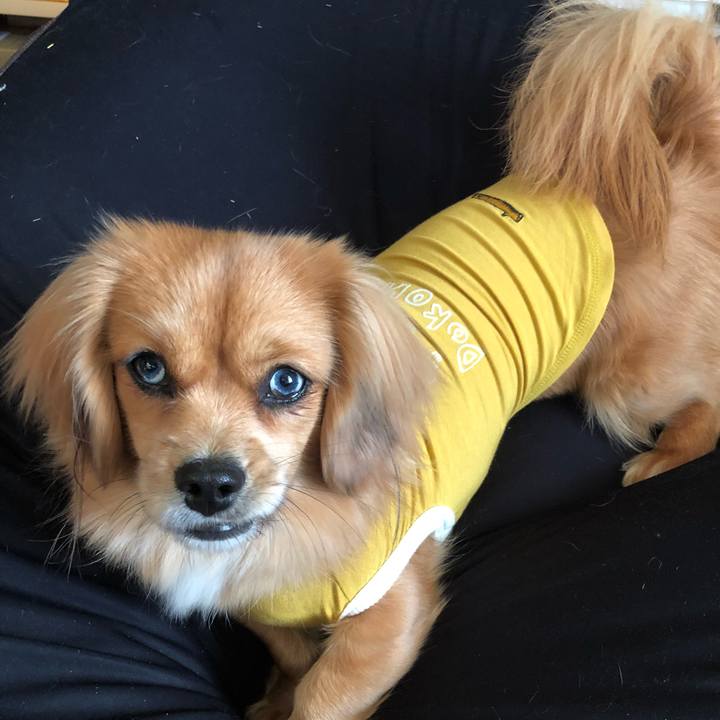 D62b3bb5 417e 4232 a9cf add0175f94ae 1544741323502