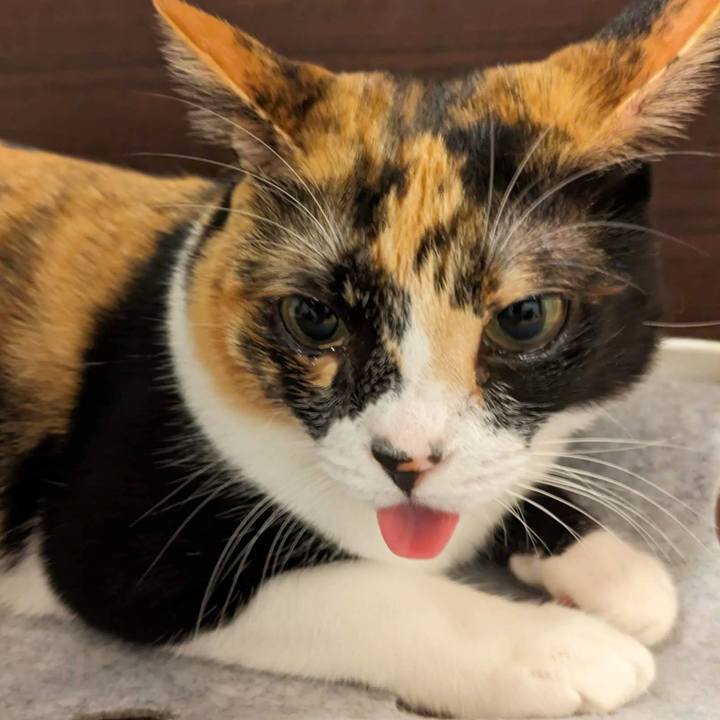 D62b83d3 cae0 4d95 afb5 8b718d6719ae 1688526830013