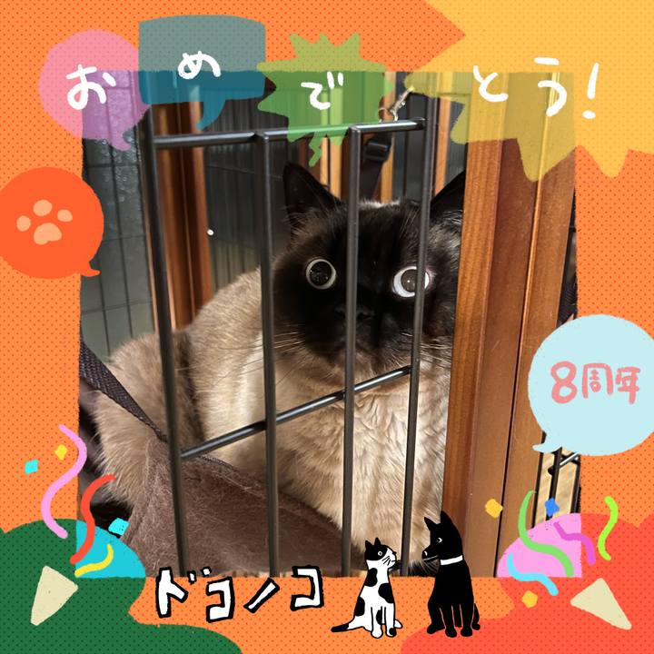 D62bbcb4 fda1 49f8 9f96 564ed4bdd728 1717586718784