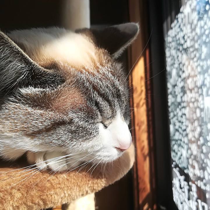 D62bd07a b5c2 4dba 837e 0683dbd41945 1521265055560