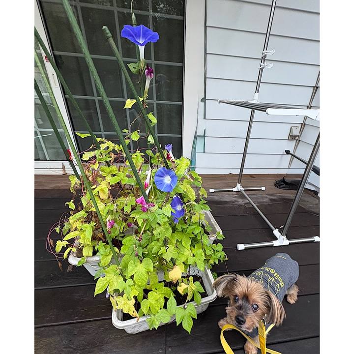 D62bdeb0 c1d0 469b bb62 48781cb28a02 1758235360140