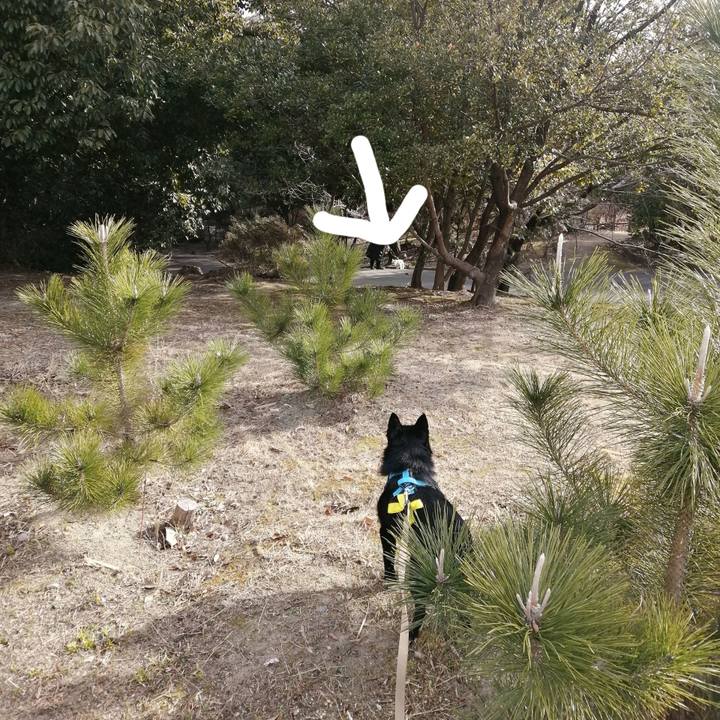 D62bef0b 8559 46f3 a937 5cbe5063511a 1644628086667