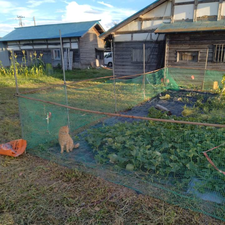 D62bf172 edbb 41e0 9349 b4efe27cb874 1691490313328