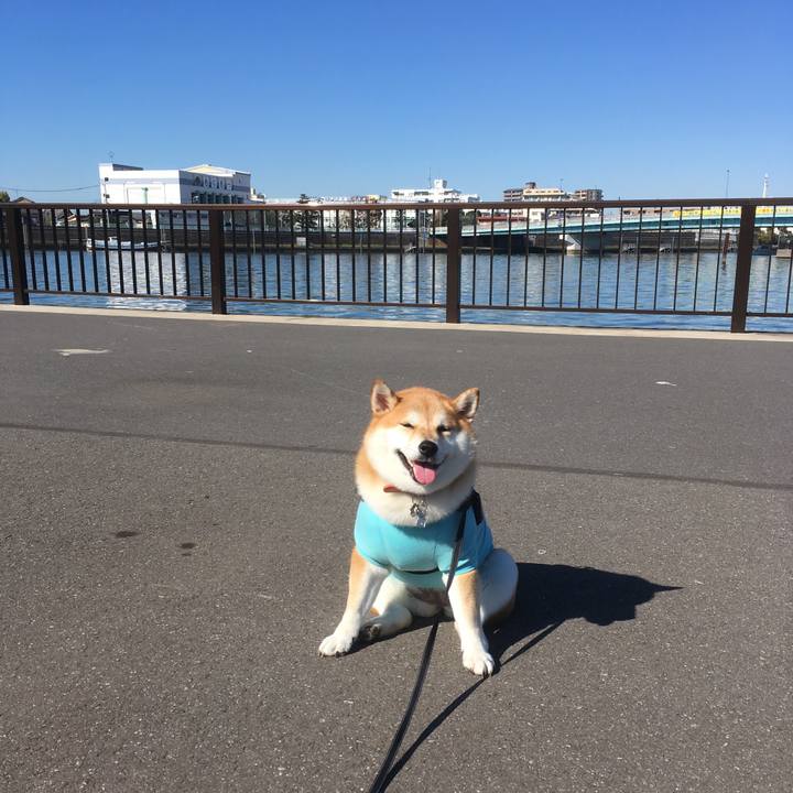 D62c1168 98c9 46cb 9058 cae635c01769 1541123734738