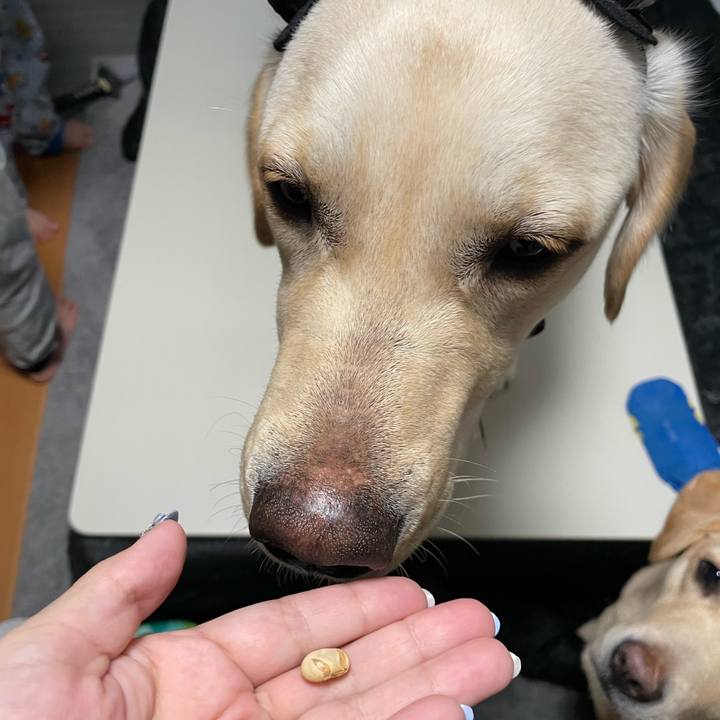 D62c2a1e 771c 442a 945e b717d9b3e124 1643893337703