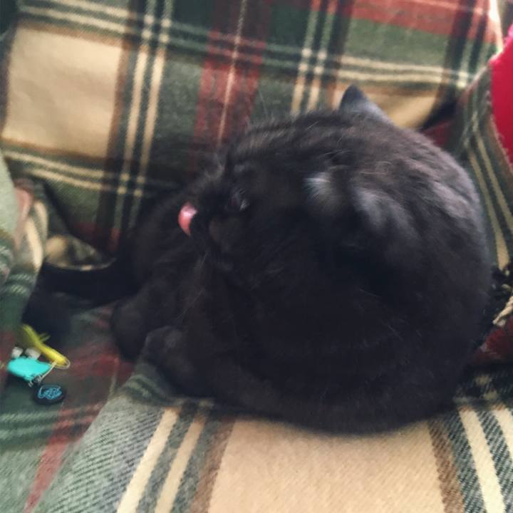 D62c336a e574 4aab aa4a 490d4ca50690 1521419096620