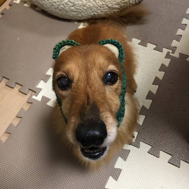 D62c5962 9d5e 483f 9a2b bfbd451b78a6 1587732423511