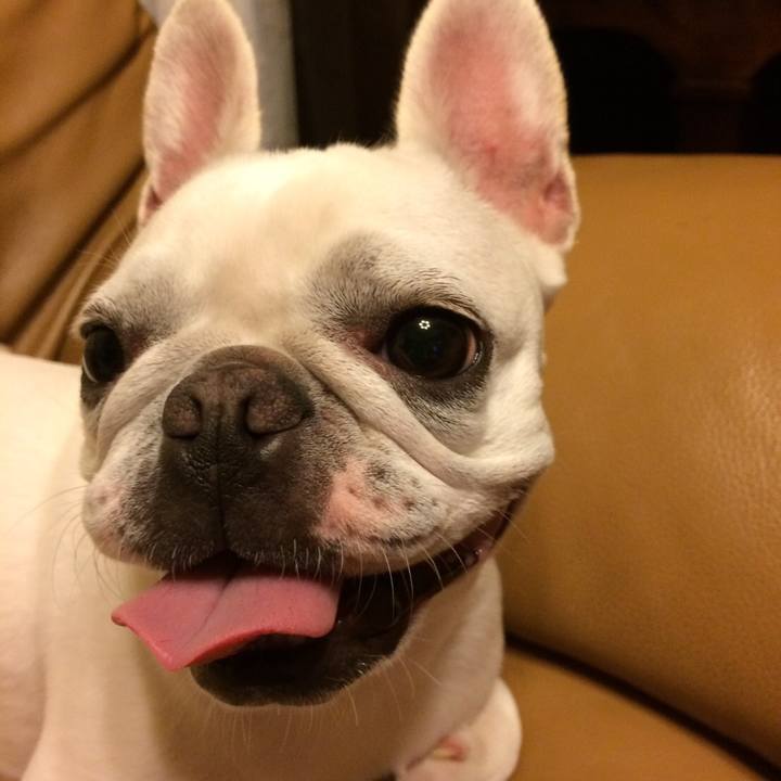 D62c9281 e004 4a58 a12d 721e3c3cee4e 1532948465405