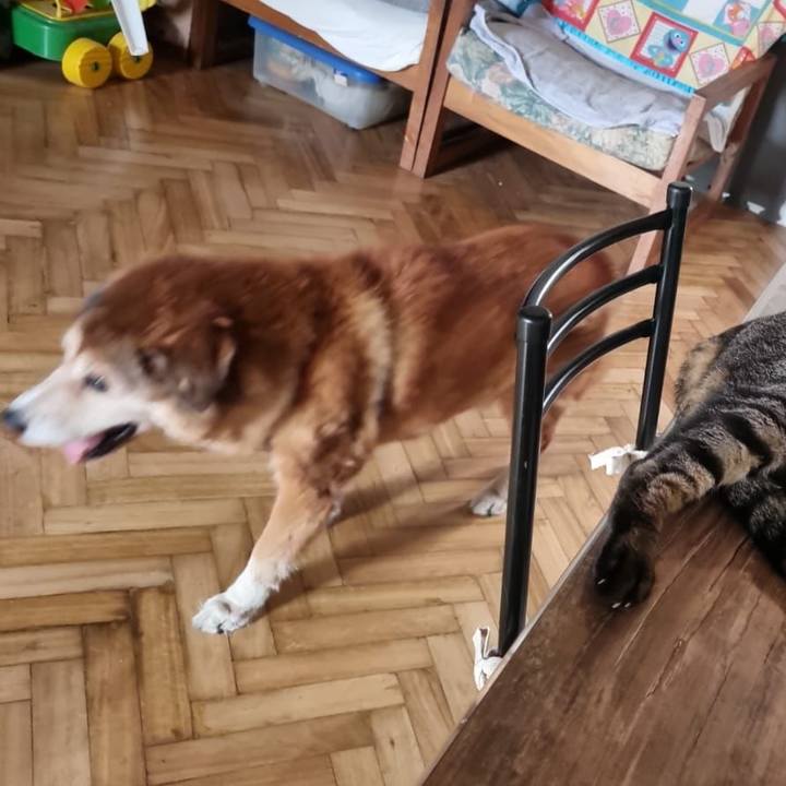 D62ce31d fda3 4c8c 8b7a 0afa49d080bb 1768493329456