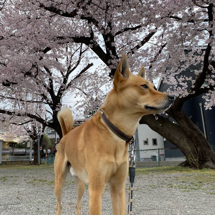 D62ce3e9 a890 48a3 8986 27da61e8f72e 1648603873752