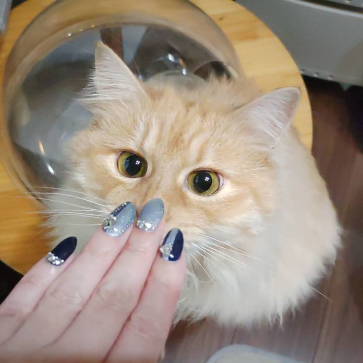 D62cfd71 b2f2 4a0b be16 590209ff8885 1712614909653