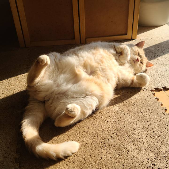 D62d1199 889c 4db5 92cb 46581370d5f9 1640594566150