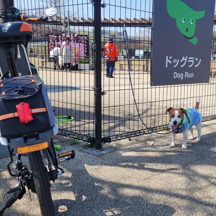 D62d22c2 1528 4268 871d 80ce1d99c108 1678946870872