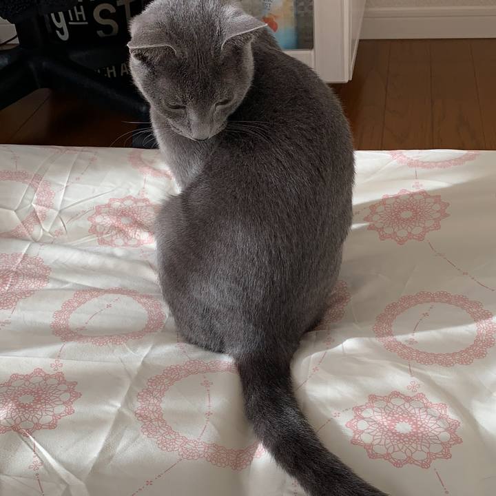 D62d80bf 1e14 442a bae4 3ad112290563 1578547971581