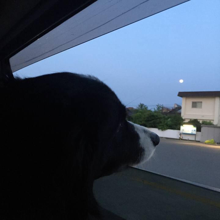 D62d95d3 18b2 4ab1 a533 e1cbd20faac7 1525120985044