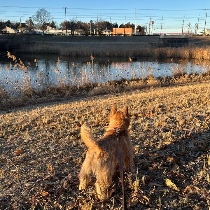 D62da373 b0f0 4307 ad61 573b897cf51f 1739250974734