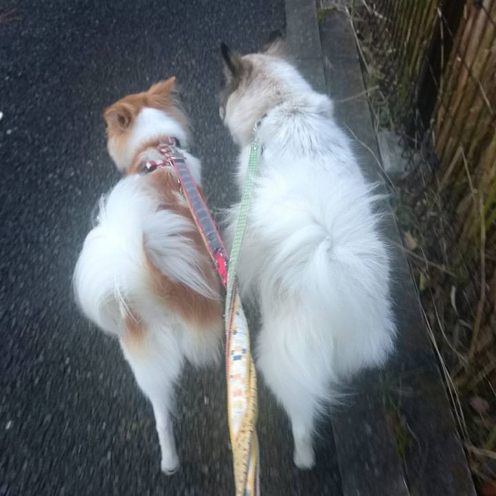 D62dabdd 5e39 4dfe aed2 cf79c00c3cfc 1510054399182