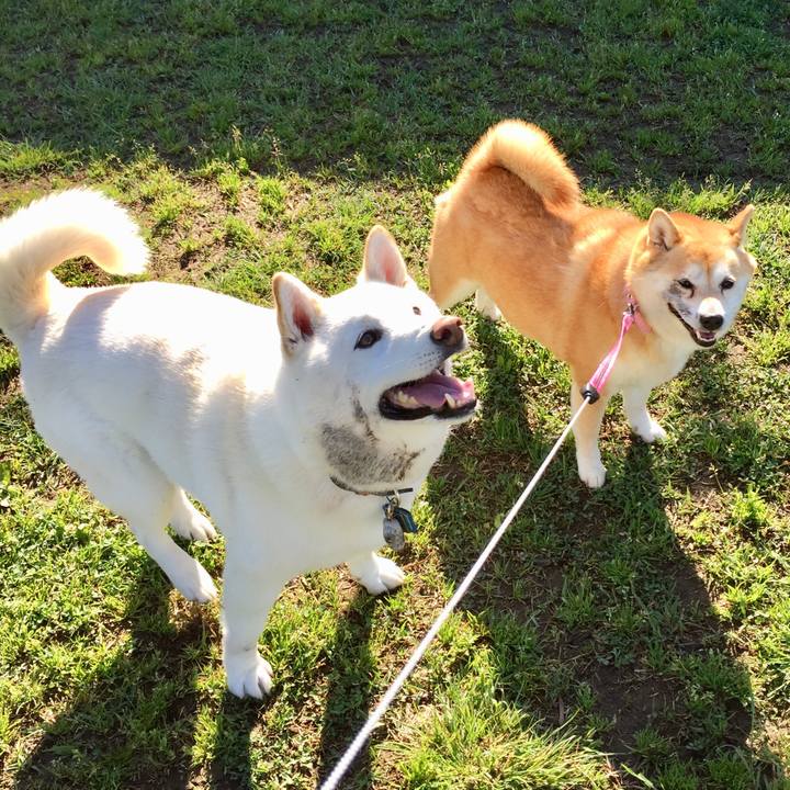 D62e0a55 018d 412a 8c3a 227c94c1f72b 1589116898579