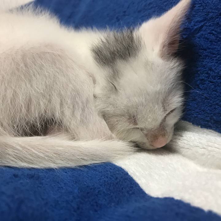 D62e180b 05c1 45b3 b353 d2e4d26331fa 1592409582006