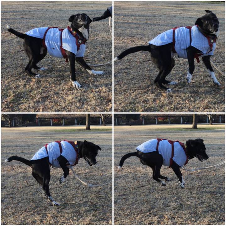 D62e2ca7 153c 4ba6 932c c57291edbecf 1671754738527