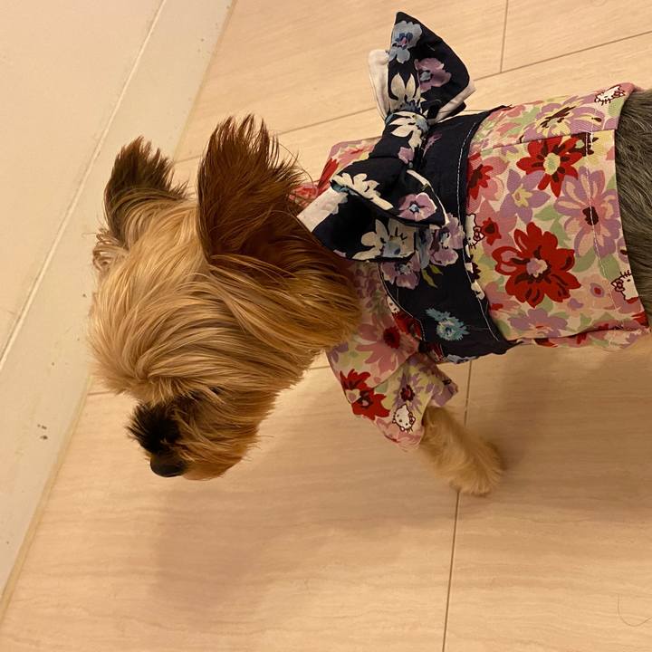 D62e3026 edcf 4dc8 b649 36b58e51b5f4 1628913570191