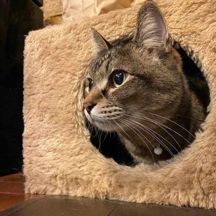 D62e50c6 1379 48f4 81e2 d196403d5399 1610795458470