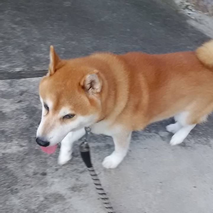 D62e92b1 fc05 44f3 be07 4f92bee45d3d 1694588565503