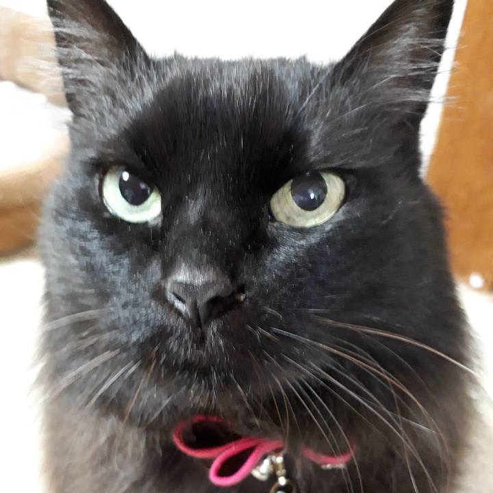 D62e9a34 7007 42fe 9712 6e48c4fc5b81 1518713752747