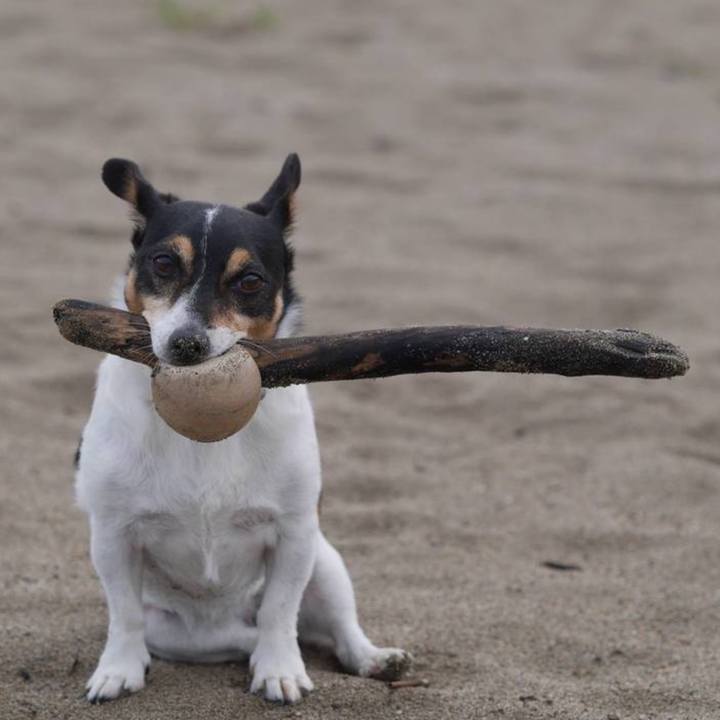 D62eb30a 50b6 461c 91a1 c283805e9273 1758781943633