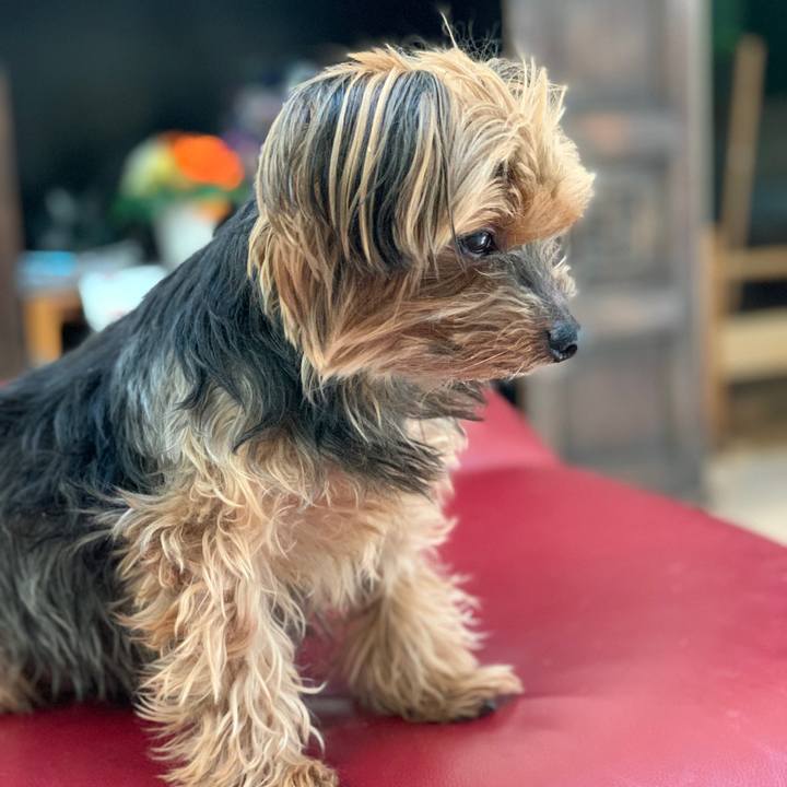 D62ee730 b31c 406a b893 4493b142f49f 1613440945700